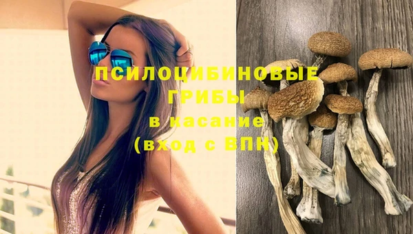 не бодяженный Абдулино