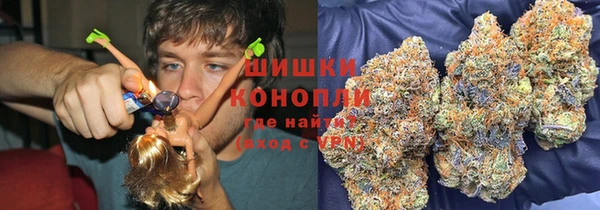МДПВ Алексеевка