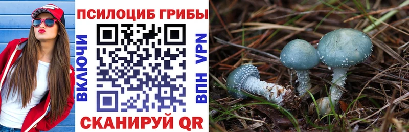 купить наркотики сайты  Холм  Псилоцибиновые грибы прущие грибы 